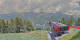 Ahrntal Sa. 1.8.