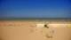 Berck-sur-Mer Sa. 1.8.