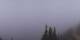 Enumclaw, Washington Sa. 1.8.