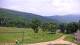 Nellysford, Virginia Sa. 1.8.