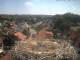 Bad Waldsee So. 2.8.