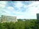 Cottbus So. 2.8.