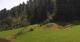 Going am Wilden Kaiser So. 2.8.