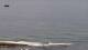 Ericeira So. 2.8.