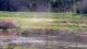 Les Landes-Genusson So. 2.8.