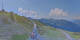 Goldeck So. 2.8.