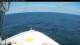 Norwegian Bliss So. 2.8.