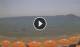Formia So. 2.8.