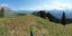 Braunwald So. 2.8.