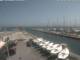 Cervia So. 2.8.