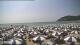 Fiumaretta di Ameglia So. 2.8.