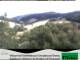 Schuttertal So. 2.8.