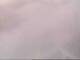 Fort Lauderdale, Florida So. 2.8.