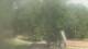 Fairview, Tennessee Mo. 3.8.