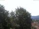 Gmund am Tegernsee Mo. 3.8.