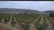 Arnedo Mo. 3.8.