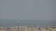 Scheveningen Mo. 3.8.