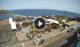 Garachico (Teneriffa) Mo. 3.8.