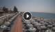 Bordighera Mo. 3.8.
