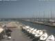 Cervia Mo. 3.8.