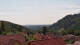 Schierke Mo. 3.8.