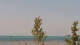Lindau (Bodensee) Mo. 3.8.