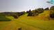 Bohinj Mo. 3.8.