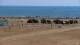 Caorle Di. 4.8.