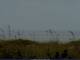 Cape Canaveral, Florida Di. 4.8.