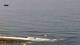 Ericeira Di. 4.8.