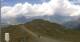 Chamois Di. 4.8.