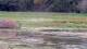 Les Landes-Genusson Di. 4.8.