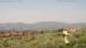 Pietrapiana Di. 4.8.