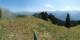 Braunwald Di. 4.8.