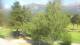 Barcelonnette Mi. 5.8.