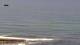 Ericeira Mi. 5.8.