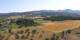 Wetzikon Mi. 5.8.