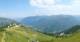 Donnersbachwald Mi. 5.8.