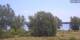 Werder (Havel) Mi. 5.8.