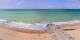 Coudeville-sur-Mer Mi. 5.8.
