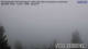 Kochel am See Do. 6.8.