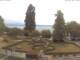 Hagnau am Bodensee Do. 6.8.