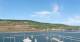 Bingen am Rhein Do. 6.8.