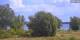 Werder (Havel) Do. 6.8.