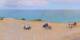 Donville-les-Bains Do. 6.8.