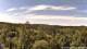 Altenau (Harz) Do. 6.8.