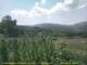 Cantalupo Ligure Fr. 7.8.