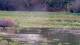 Les Landes-Genusson So. 9.8.