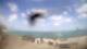 Veulettes-sur-Mer Mo. 10.8.