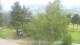 Barcelonnette Di. 11.8.
